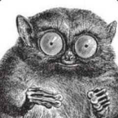 angry_tarsier Profile Picture