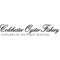 Colchester Oysters (@shellfishrus) 's Twitter Profile