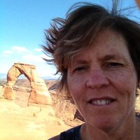 Sue Bertram (@sue_bertram) 's Twitter Profile