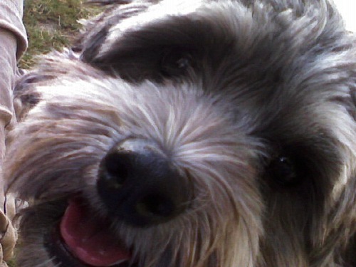 scottkretzer's profile picture. 