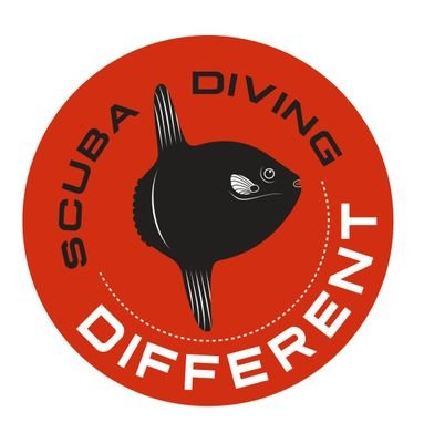 buceodsd's profile picture. C.D. Different Scuba Diving es un club de  buceo que pretende facilitar esta actividad a todos aquellos que comparten nuestra pasión...Ven y bucea con nosotros!