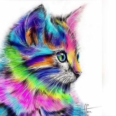 afzalhassan114's profile picture. 