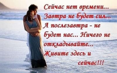 AlenaAlieva4's profile picture. 