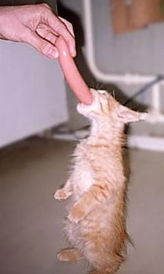 EduardMovchun's profile picture. 