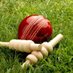 DevonCricketGossip (@devoncricket1) Twitter profile photo DevonCricketGossip (@devoncricket1) Twitter profile photo