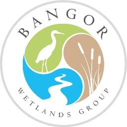 The Bangor Wetlands Group is a team of wetland scientists and students at Bangor University, UK.  Current Admin (@bangorglider)