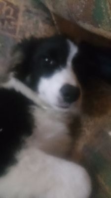 SocorroAmparo's profile picture. 