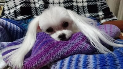Profile photo of HIROMI Wonderland