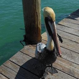 barbvaraz's profile picture. 