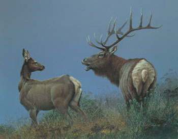 gwells7's profile picture. Retired conservative. Born in PA and moved to Phoenix AZ. Roams the conservative blogs. I love this country.  Thank God for Donald Trump's election
!