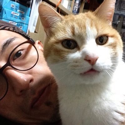 totonoel's profile picture. ここに私はいません〜 ツイってなんかいません〜