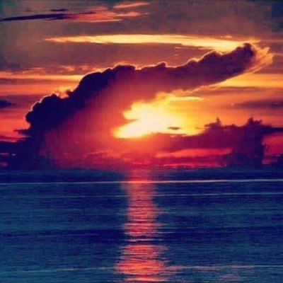 jupwalks's profile picture. 