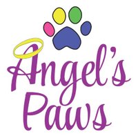 Angel's Paws(@Angelspaws) 's Twitter Profile Photo