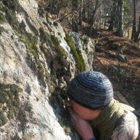 Feldbotanik (@feldbotanik) 's Twitter Profile Photo Feldbotanik (@feldbotanik) 's Twitter Profile Photo