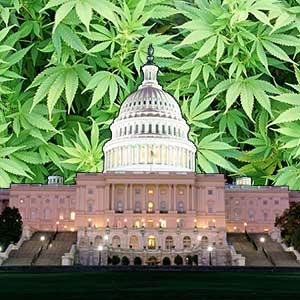Welcome To The Fastest Growing Marijuana Social Site Created To Unite The Cannabis World 4 Legalization! @HempLifeGlobal✌ https://t.co/E1udFOPe6a