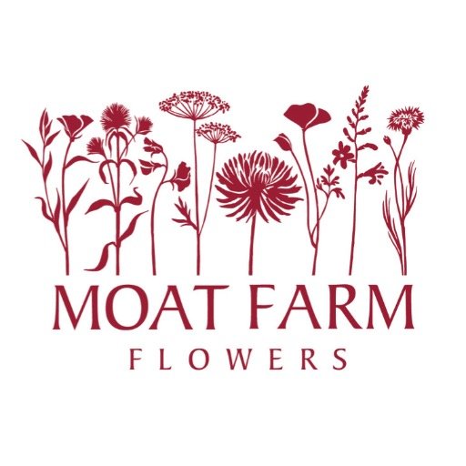 moatfarmflowers's profile picture. Frances Boscawen: growing and arranging seasonal flowers for all occasions in sunny Suffolk.