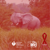 Essex Elephant (@essexelephant) Twitter profile photo Essex Elephant (@essexelephant) Twitter profile photo