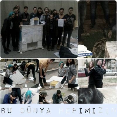 Bdhayvandostu's profile picture. Biz kimiz?Adana'da yaşayan,hayvanları seven ve korumaya çalışan bir grup genç.Onların bizlere,bizlerin onlara ihtiyacı var.Haydi sende dostlarımıza destek ol!