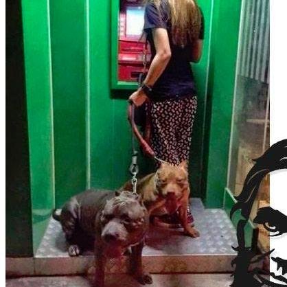 alvaro61574779's profile picture. 