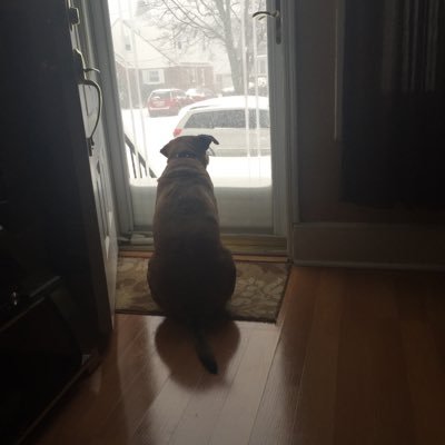 PinkBowHK's profile picture. 