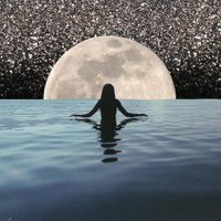 The Sea Witch (@seawitchsf) 's Twitter Profile