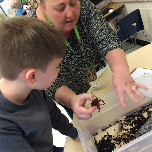 Special Education Teacher, Wife and mother of 3 Awesome Kiddos.