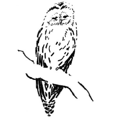 フクロウさんのプロフィール画像