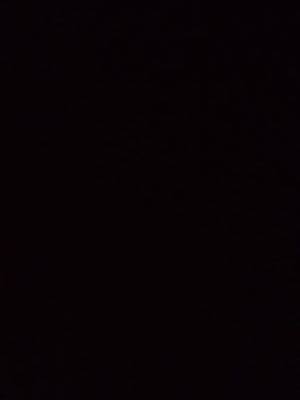 sassbieberxx's profile picture. 