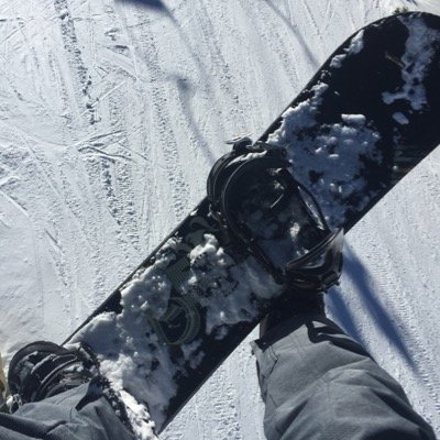 LandonDewitt's profile picture. 