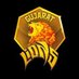The Gujarat Lions (@TheGujratLions) Twitter profile photo