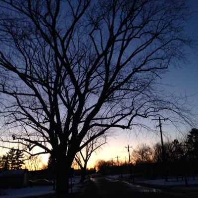 lizjabe's profile picture. 