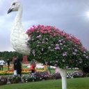 Rhema joy alos - @joyce31_alonzo - Twitter