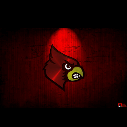 Louisville Cardinal Fan