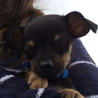 Antstuh's profile picture. 