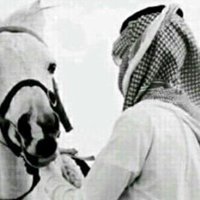 salman (@s3bdullah11) 's Twitter Profile