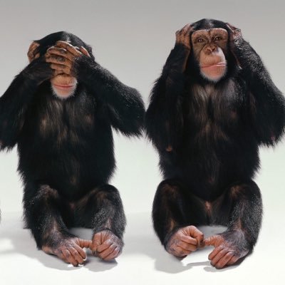 GezinusHorema's profile picture. (Onder)Zeevaarder. Wie niet weg is, is Gezinus. Je moet niet Horema luisteren. Diepe gronden, stille wateren. We all live in a rainbow submarine.