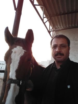 joysantrafo's profile picture. 