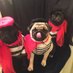 The Painting Pugs (@thepaintingpugs) Twitter profile photo The Painting Pugs (@thepaintingpugs) Twitter profile photo