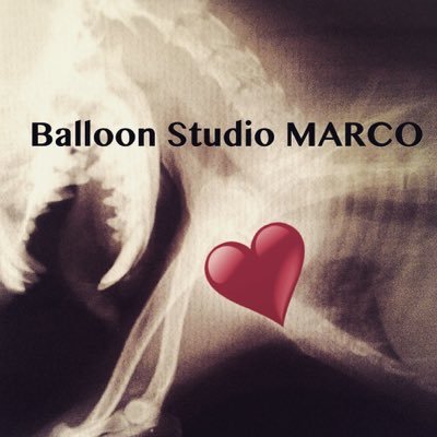 balloonmarco's profile picture. アイドルのステージ装飾✨Balloon Studio MARCO💀世界大会準優勝、日本の大会3部門で優勝https://t.co/rqh9KM7WHz🖤お問い合わせはballoonstudiomarco@gmail.com まで。最新情報は instagram ✨b_s_marcox