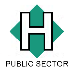 HB IT Public Sector