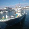 Yoshieimaru__'s profile picture. 0463-22-6551 しらす漁 自家船 自家加工 直売やってます！！