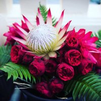 Stephanie Kingston(@exmoorflowers) 's Twitter Profile Photo