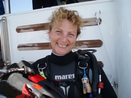 I am Padi master  instructor, my husband and I run a dive centre and school in East Grinstead West Sussex. My Passion is teaching people to dive.