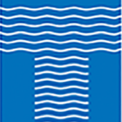 TapitaliaSA's profile picture. 