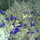 Bert Hansen - @bertlogon - Twitter