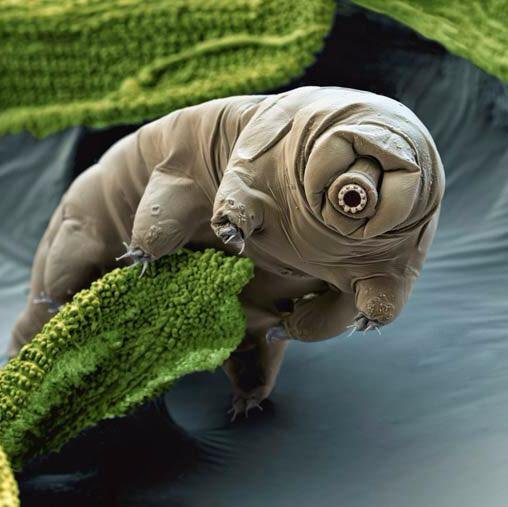 ciynka's profile picture. 