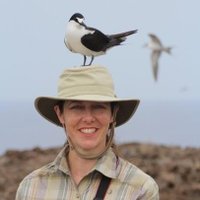 Dr Lucy Garrett (@garrettlucy1) 's Twitter Profile