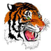 BHAS Tigers (@bhastigers) Twitter profile photo BHAS Tigers (@bhastigers) Twitter profile photo
