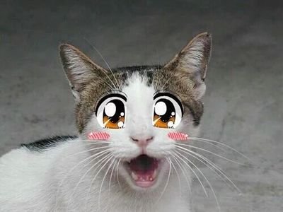 kawaii-pussyさんのプロフィール画像