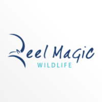 ReelMagicWildlife(@ReelMagicWild) 's Twitter Profile Photo